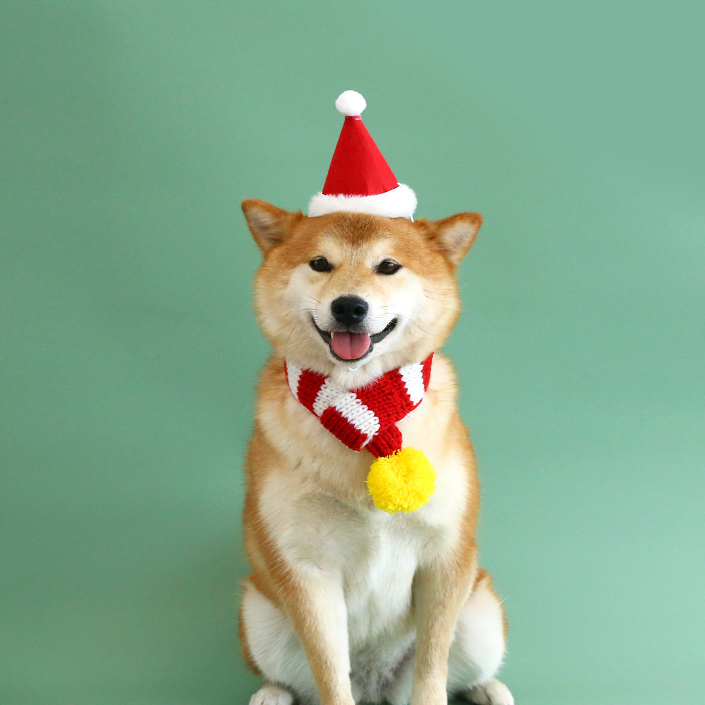 Knitted Striped Pet Christmas Scarf