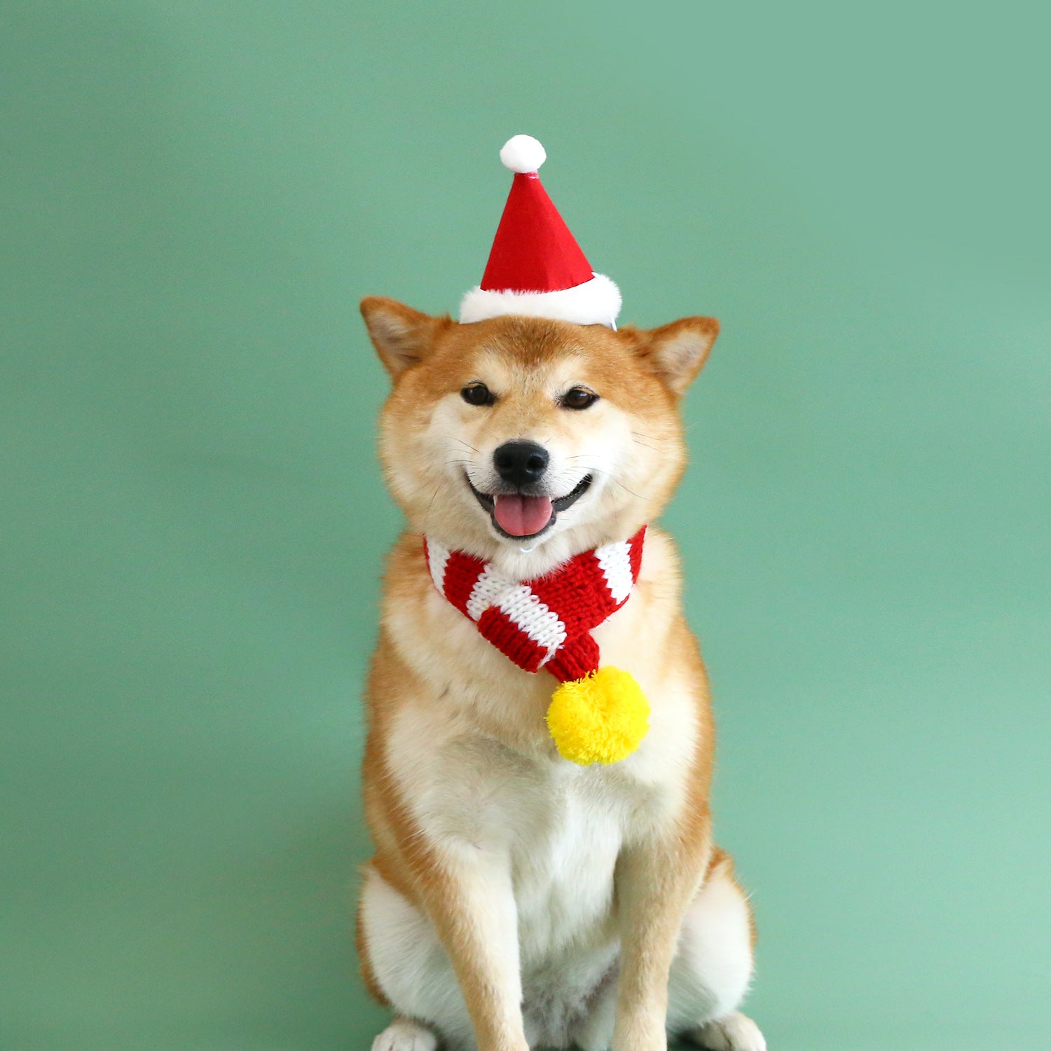 Knitted Striped Pet Christmas Scarf